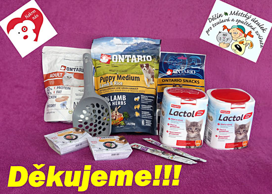Děčín 11.3